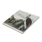 Carreau Audubon White lbis Bird Wildlife Painting (Côté)