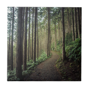 Carreau Augmentant dans les montagnes Wakayama, le Japon