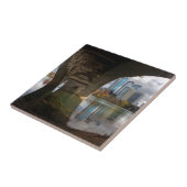 Carreau Austin Texas Ladybird Lake Trail Pont piétonnier (Côté)