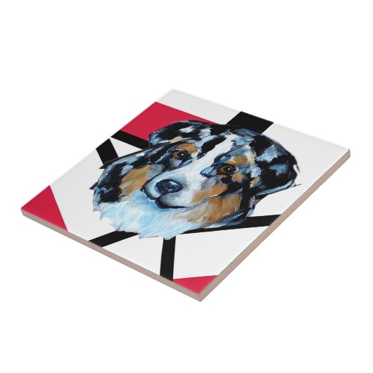 CARREAU AUSTRALIAN SHEPHERD (Côté)