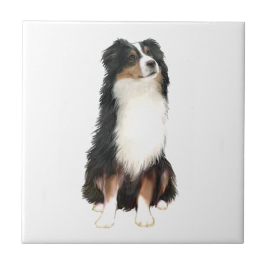 Carreau Australian Shepherd (A) - Trois Couleurs (Devant)
