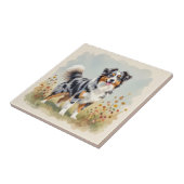 Carreau Australian Shepherd Dog Merle Long Tail (Côté)