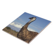 Carreau Australie, Australie occidentale. Emu (Dromaius) (Côté)