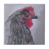 Carreau Australorp noir Hen (Devant)