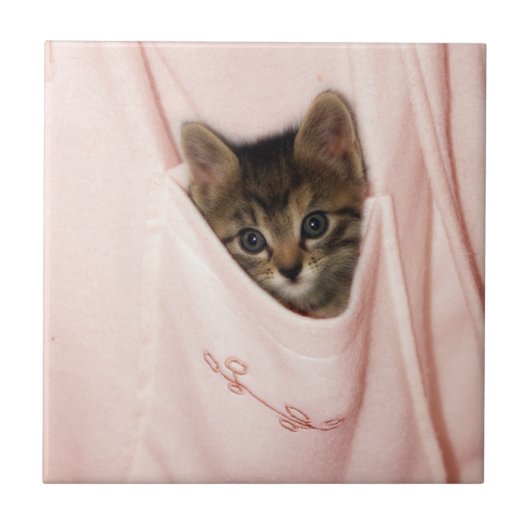 Carreau Auto-stop (Devant)