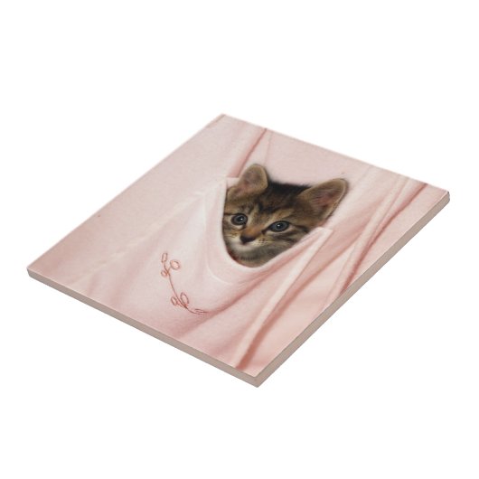 Carreau Auto-stop (Côté)