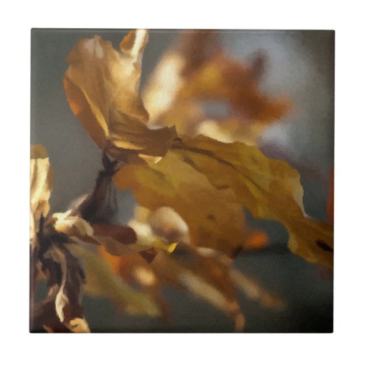 Carreau Automne (Devant)