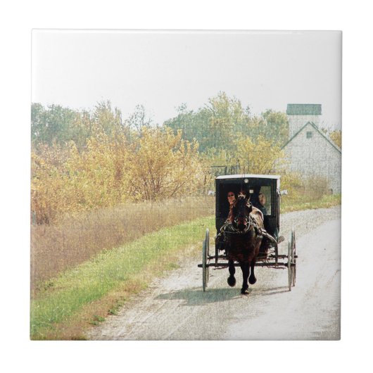 Carreau Automne Amish Horse et Buggy (Devant)