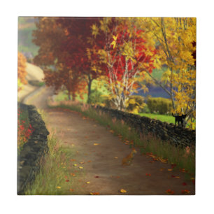 Carreau Automne dans le Glen Carrelage décoratif / Dessous