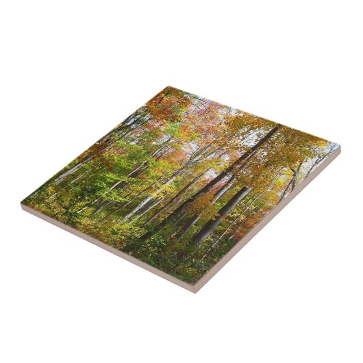 Carreau Automne Forêt I Automne Paysage Photographie (Côté)