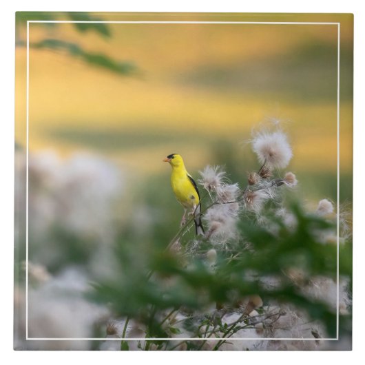 Carreau Automne Goldfinch Et Thistle (Devant)