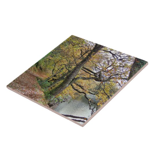 CARREAU AUTOMNE PAR LE LAC (Côté)