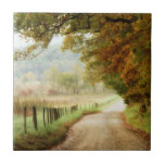 Carreau Automne sur une route de campagne<br><div class="desc">Décorations pour la maison</div>