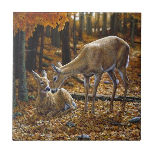 Carreau Automne Whitetail Doe et Fawn (Devant)