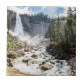 Carreau Automnes du Nevada (Devant)