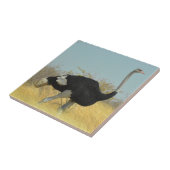 Carreau Autruche en course (Côté)