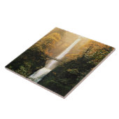 Carreau Autumn at Multnomah Falls (Côté)