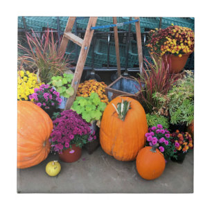 Carreau Autumn Decor