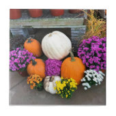 Carreau Autumn Decor (Devant)