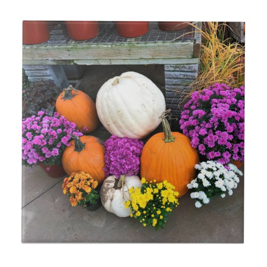 Carreau Autumn Decor (Devant)