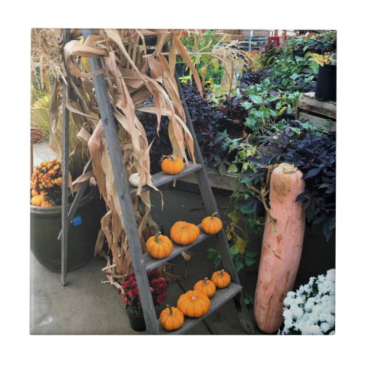 Carreau Autumn Decor (Devant)