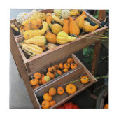 Carreau Autumn Decor (Devant)