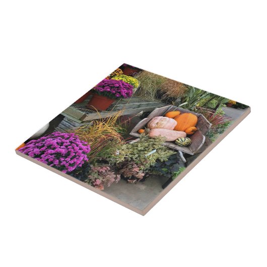 Carreau Autumn Decor (Côté)