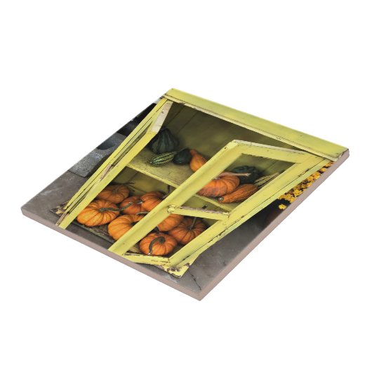 Carreau Autumn Decor (Côté)