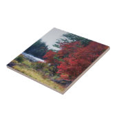 Carreau Autumn Folig Pond Nature Art (Côté)