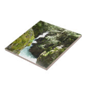 Carreau Avalanche Gorge II at Glacier National Park (Côté)