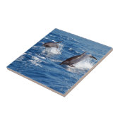 Carreau Aventure de dauphin (Côté)