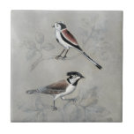 Carreau Aviaire argenté | Une paire<br><div class="desc">Cet imprimé d'aquarelle présente deux oiseaux perchés dans un arbre | Par Naomi McCavitt</div>