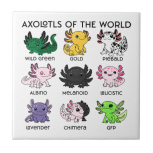 Carreau Axolotls mignons du monde