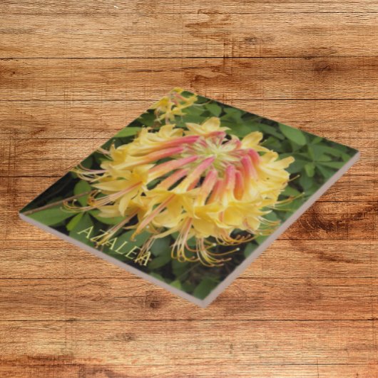 Carreau Azalée jaune fleurit Floral