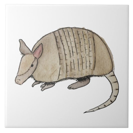 Carreau Azulejo de armadillo (Devant)