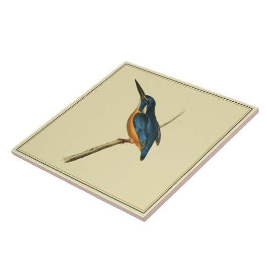 Carreau Azure Kingfisher (Côté)