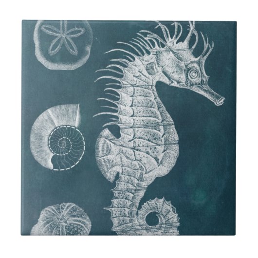 Carreau Azure Seahorse Study I (Devant)