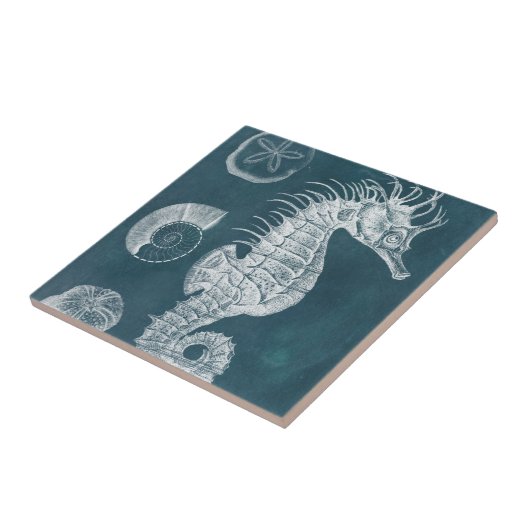 Carreau Azure Seahorse Study I (Côté)