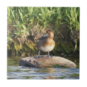 Carreau B18 Écran inférieur