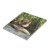 Carreau B18 Écran inférieur (Côté)