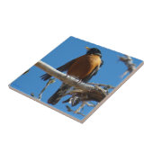 Carreau B28 Rouge-gorge (Côté)