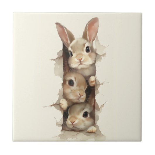 Carreau B3 Three Bunnies 3D Illusion (Devant)