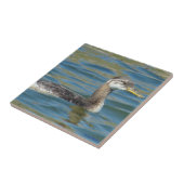 Carreau B40 Jeune Grébe à cou rouge (Côté)