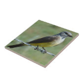 Carreau B44 Kingbird (Côté)