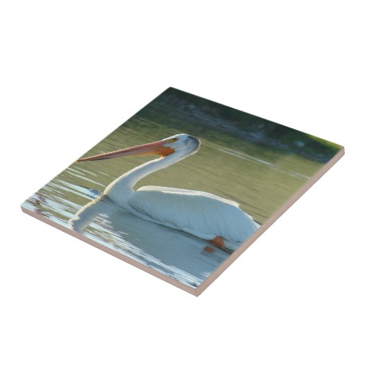 Carreau B4 Pélican blanc (Côté)