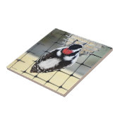 Carreau B53 Pic à dos blanc (Côté)