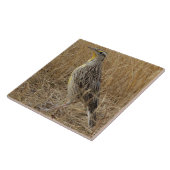 Carreau B57 Meadowlark occidental (Côté)