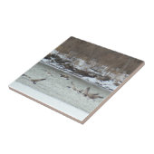 Carreau B7 Oies canadiennes en vol (Côté)