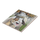 Carreau Baaaaa ! A Valhalaaa ! (Côté)