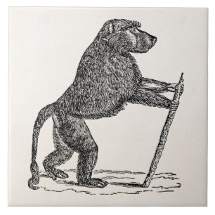 Carreau Babouins vintages de singe de bâton de marche de